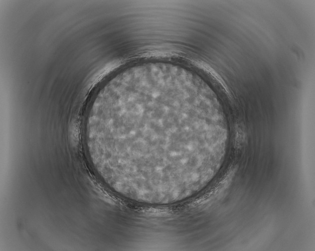 X0000111590874200908131338