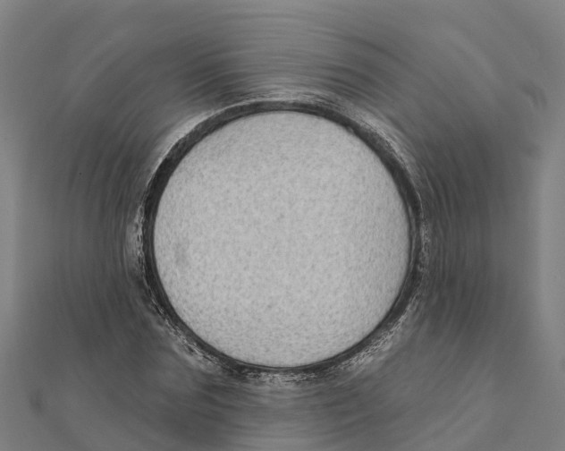X0000111590875200908131338