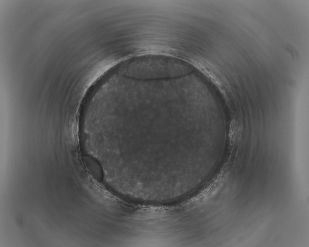 X0000111590877200908131338