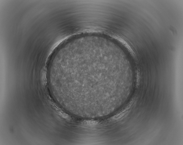 X0000111590878200908131338