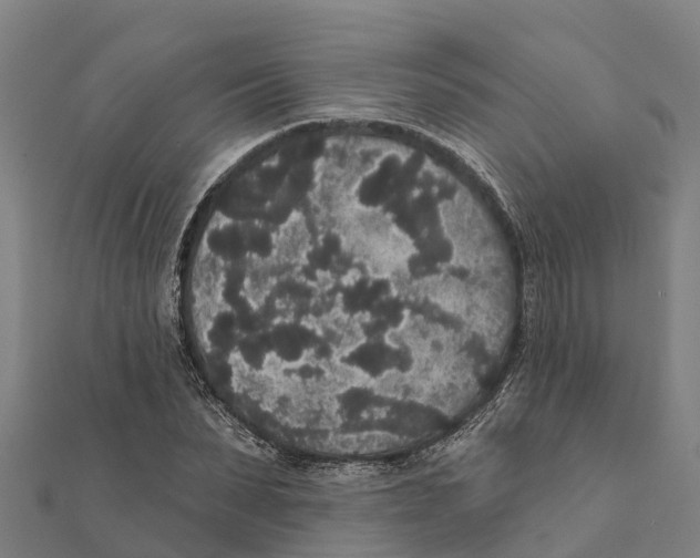 X0000111590879200908131338