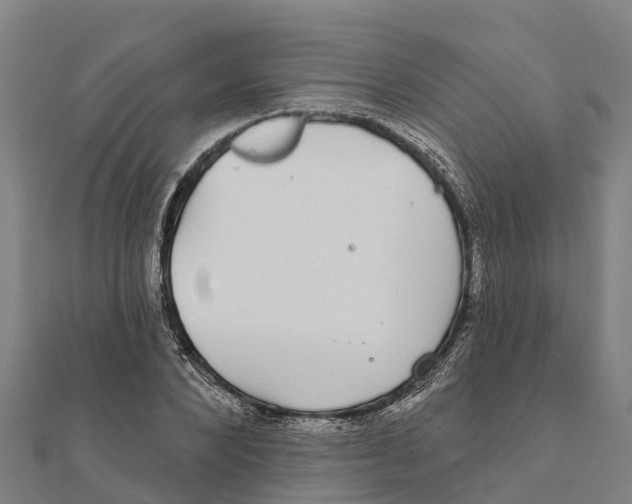 X0000111590880200908131338
