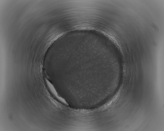 X0000111590881200908131338