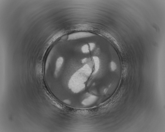 X0000111590882200908131338