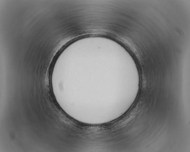 X0000111590883200908131338