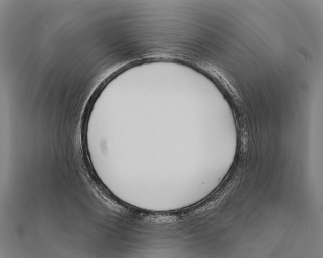 X0000111590884200908131338