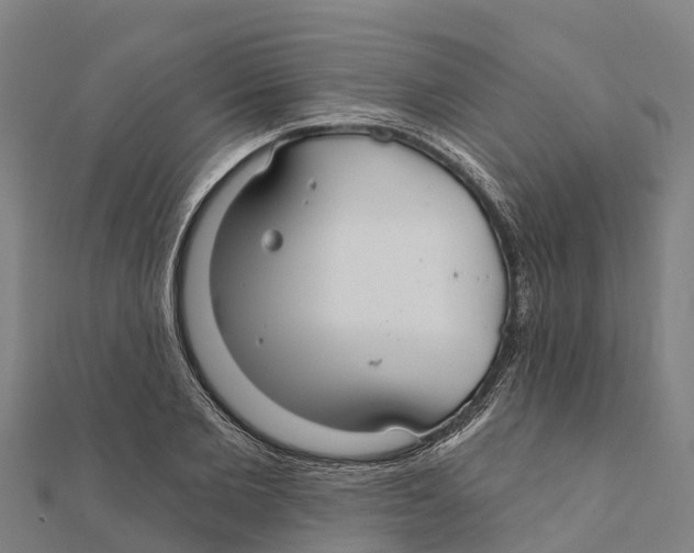 X0000111590885200908131338