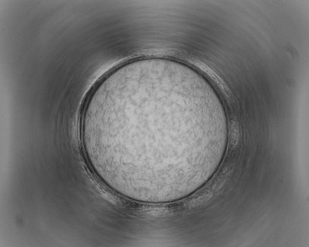 X0000111590886200908131338