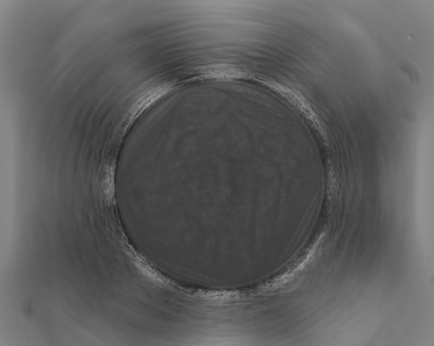 X0000111590889200908131338