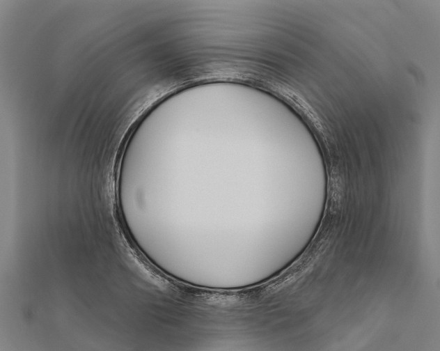 X0000111590890200908131338