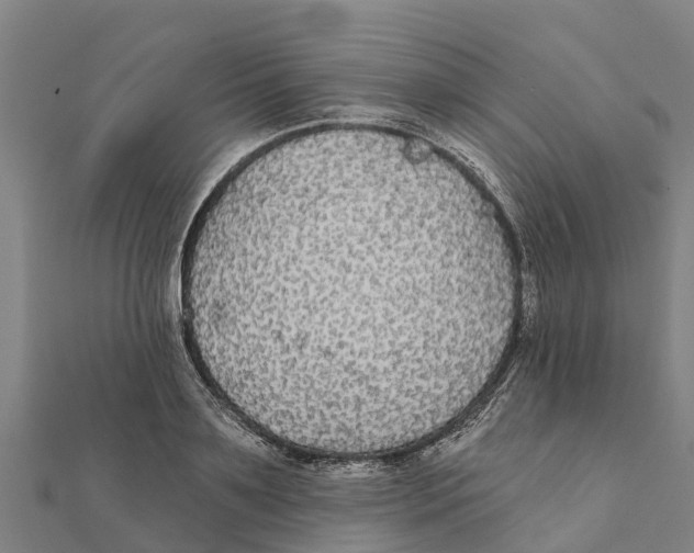 X0000111590891200908131338