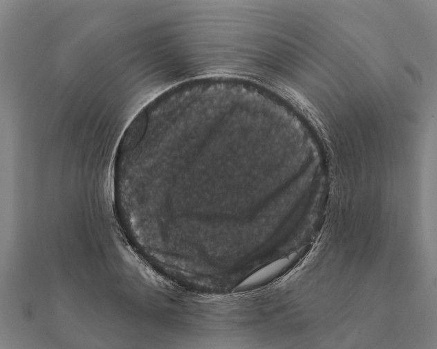 X0000111590892200908131338