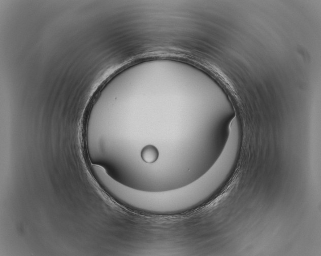X0000111590893200908131338