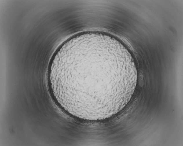 X0000111590895200908131338