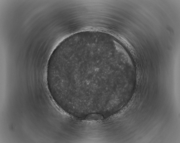 X0000111590896200908131338