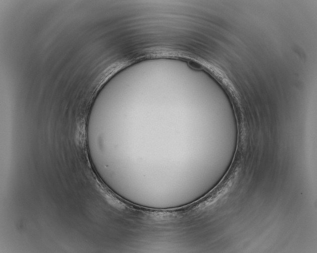 X0000111590897200908131338