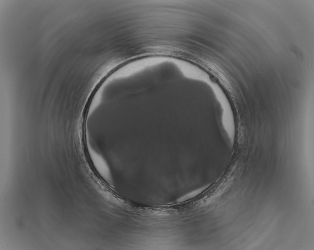 X0000111590899200908131338