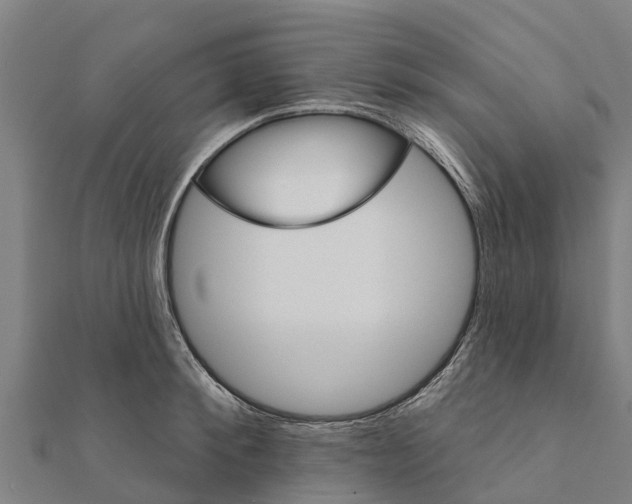 X0000111590900200908131338