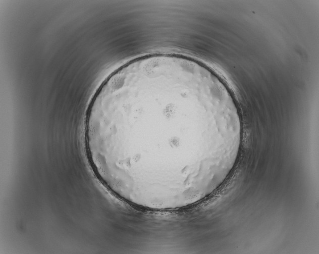 X0000111590903200908131338