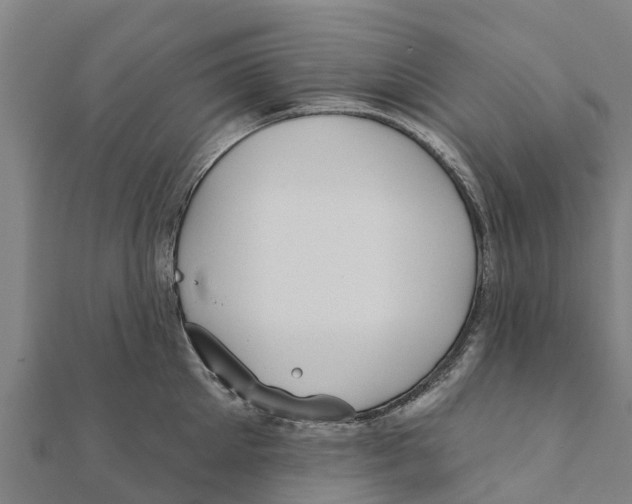 X0000111590905200908131338