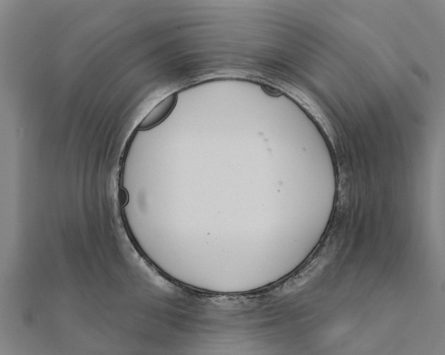 X0000111590906200908131338