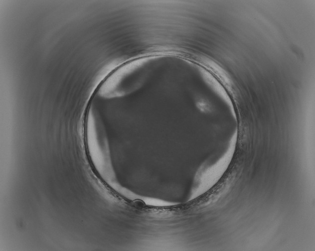 X0000111590907200908131338