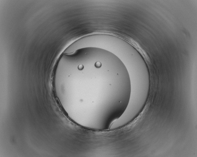 X0000111590908200908131338