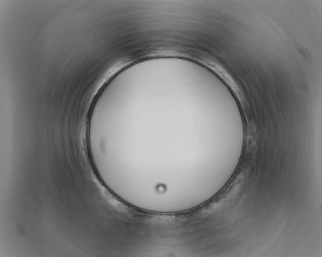X0000111590909200908131338
