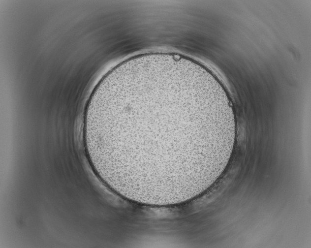 X0000111590911200908131338
