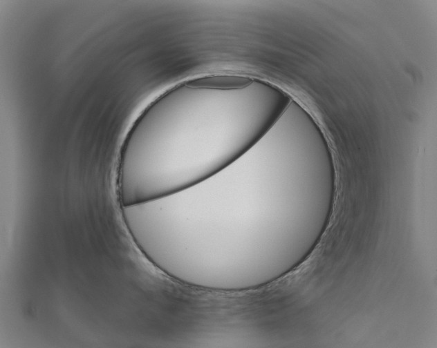 X0000111590912200908131338