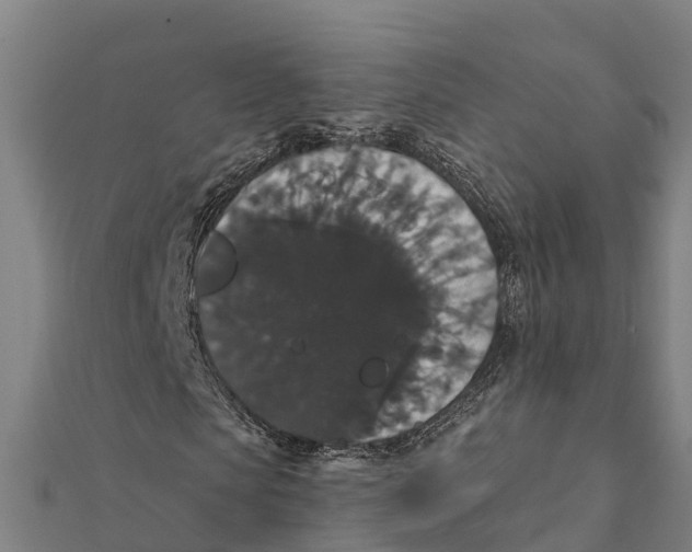 X0000111590913200908131337