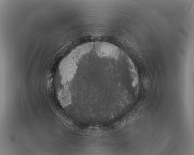 X0000111590914200908131337
