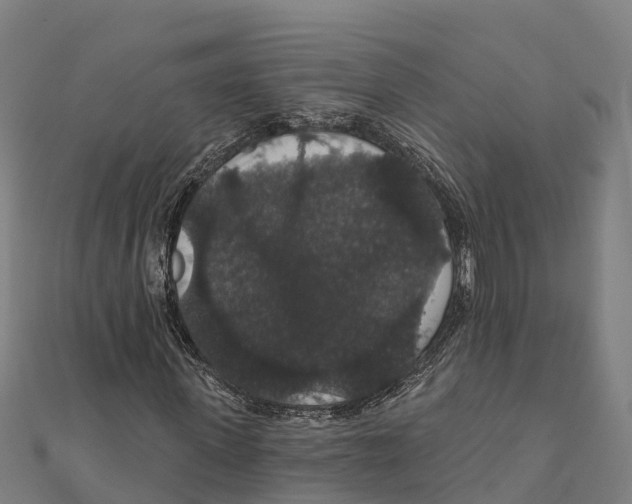 X0000111590915200908131337