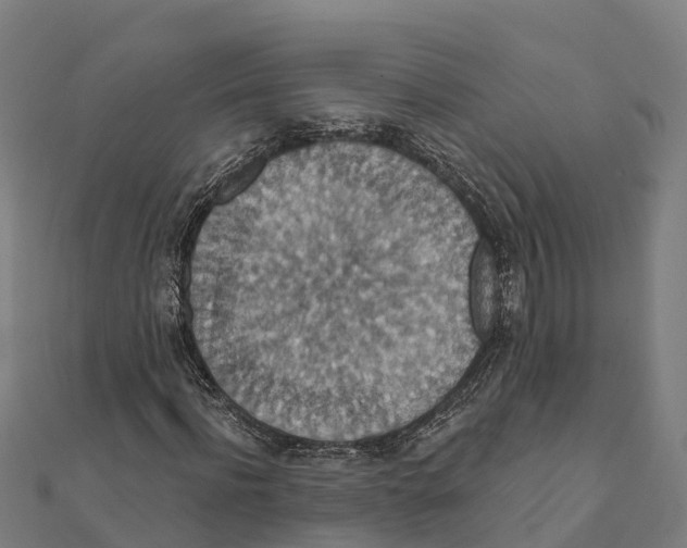 X0000111590916200908131337