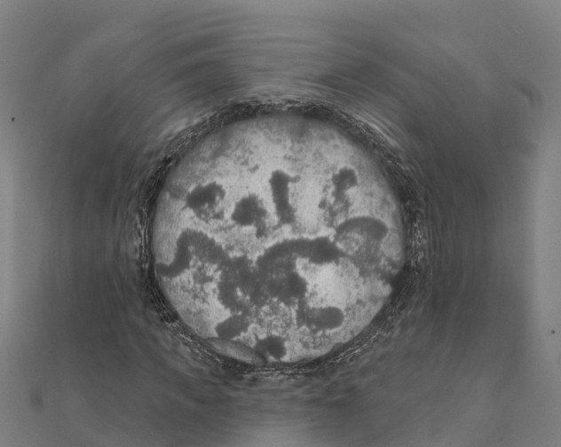 X0000111590917200908131337