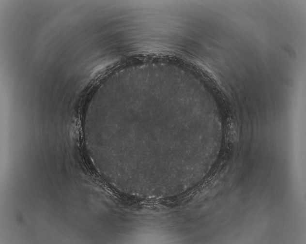 X0000111590918200908131337