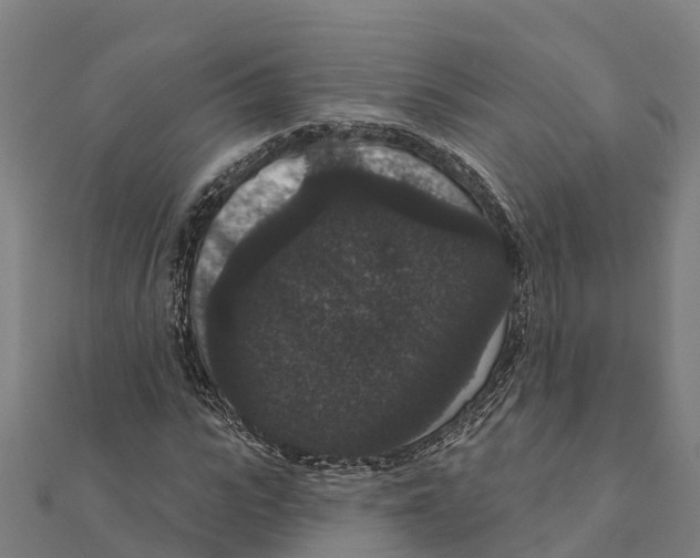 X0000111590919200908131337