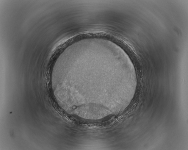 X0000111590920200908131337