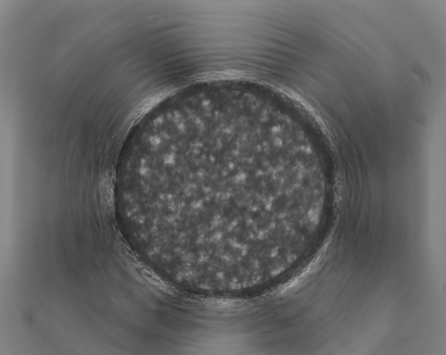 X0000111590921200908131337