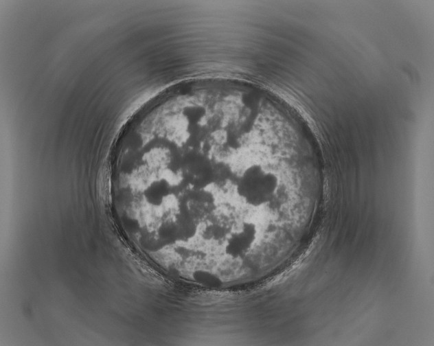 X0000111590925200908131337