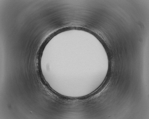 X0000111590926200908131337