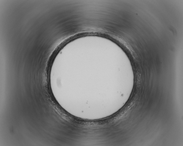 X0000111590927200908131337