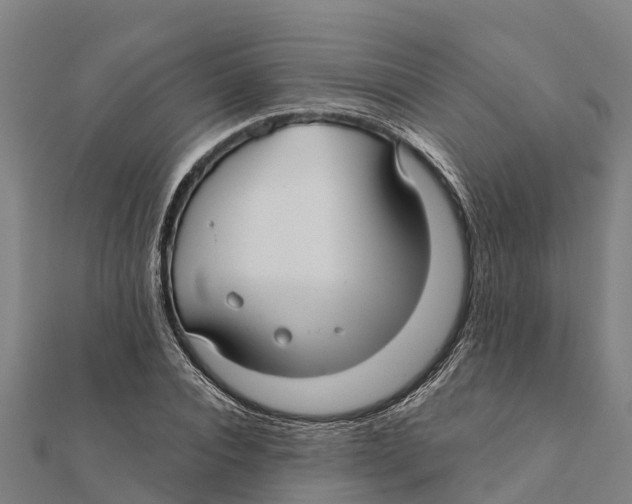 X0000111590928200908131337