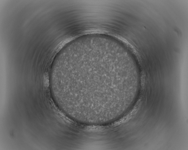 X0000111590929200908131337