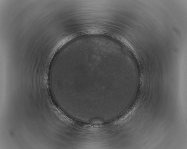 X0000111590930200908131337