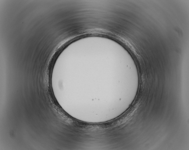X0000111590931200908131337