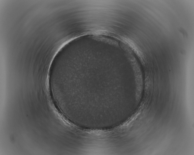 X0000111590932200908131337