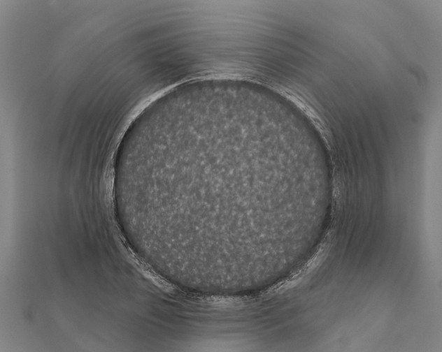 X0000111590933200908131337