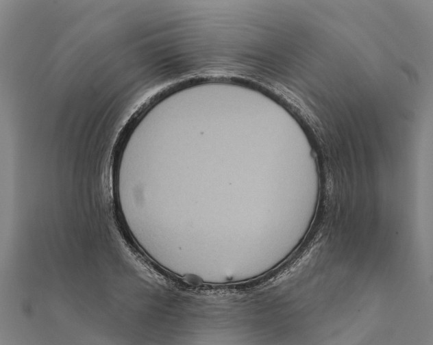 X0000111590934200908131337