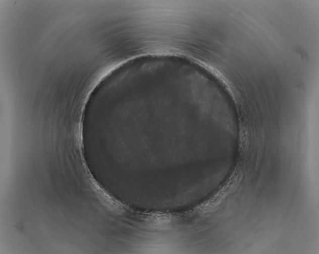 X0000111590935200908131337